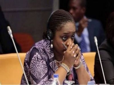 'KEMI ADEOSUN HAS NO REPUTATION TO PROTECT, SHE STARTED NIGERIA'S CURRENT HUMONGOUS DEBT' - SINA KAWONISE