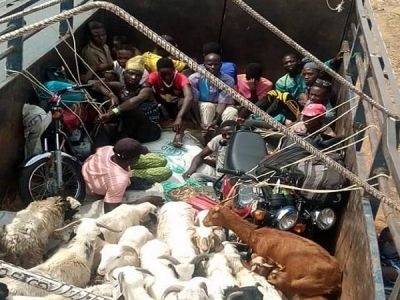 HUMANS HIDE BEHIND RAMS INSIDE LORRIES TO SNEAK INTO KADUNA