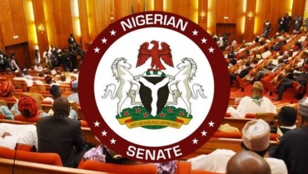 NIGERIAN SENATE AMENDS RULES ON ELECTION OF KEY OFFICERS, BARS NEW MEMBERS