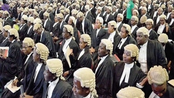 COUNCIL CONFIRMS 117 UNIVERSITIES CLEARED TO OFFER LAW DEGREES IN NIGERIA — SEE FULL LIST