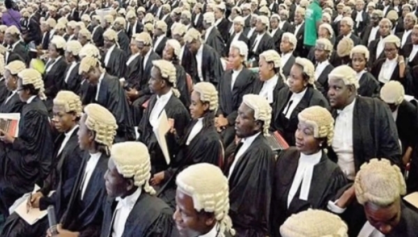 COUNCIL CONFIRMS 117 UNIVERSITIES CLEARED TO OFFER LAW DEGREES IN NIGERIA — SEE FULL LIST