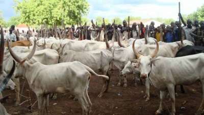 BUHARI BOWS TO PRESSURE, SUSPENDS RUGA SETTLEMENT PROJECTS