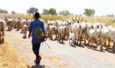 MIYETTI ALLAH FORESTALLS CRISIS, CHASES MIGRAMT HERDSMEN OUT OF ONDO