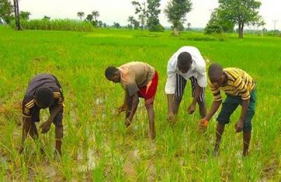 BANDITS ABDUCT 22 FARMERS, SET FIRE TO TRACTORS IN ABUJA COMMUNITY