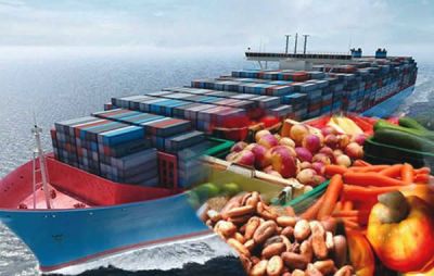 NIGERIA IN THE 60&#039;S LED THE WORLD IN EXPORT OF GROUNDNUTS, PALM-OIL, OTHERS. NOW, NIGERIA&#039;S SHARE OF EXPORTS IN THESE CROPS IS ZERO