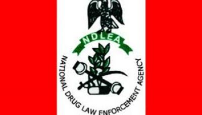 NDLEA ARRESTS WANTED DRUG BARONESS, SEALS HER MANSION, DRUG BUNKS IN DELTA