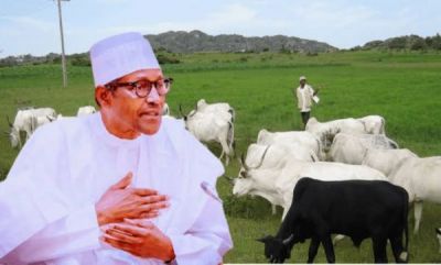 BUHARI CONSTITUTES PANEL TO REVIEW CATTLE GRAZING RESERVES ACROSS NIGERIA