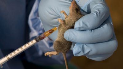 FCT MINISTER ORDERS ARREST OF 5 JOURNALISTS OVER REPORT ON LASSA FEVER, CORONAVIRUS